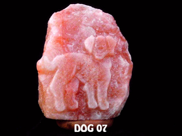 DOG 07