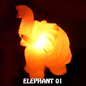 ELEPHANT 01