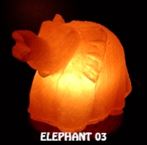 ELEPHANT 03