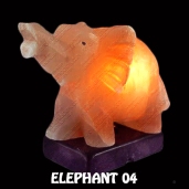 ELEPHANT 04