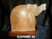 ELEPHANT 05