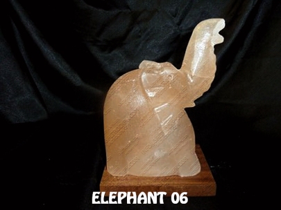 ELEPHANT 06