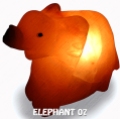 ELEPHANT 07
