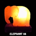 ELEPHANT 08