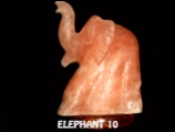 ELEPHANT 10
