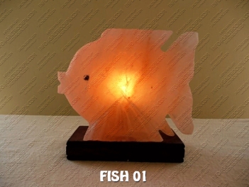 FISH 01