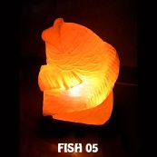 FISH 05
