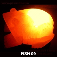 FISH 09