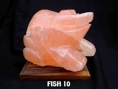 FISH 10