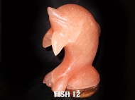FISH 12