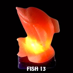 FISH 13