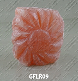 GFLR09