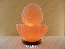 GFLR25