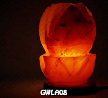 GWLA08