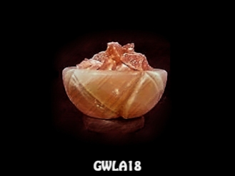 GWLA18
