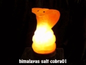 himalayas salt cobra01