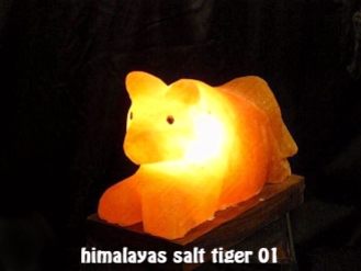 himalayas salt tiger 01