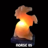 HORSE 05