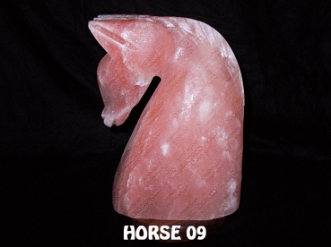 HORSE 09