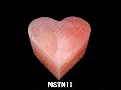 MSTN11