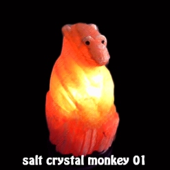 salt crystal monkey 01