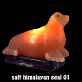 salt himalayan seal 01