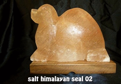 salt himalayan seal 02