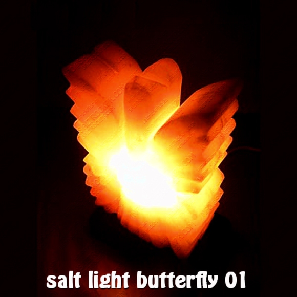 salt light butterfly 01