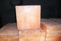 salt bricks 2x8x8 inches stock
